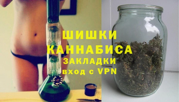 PSILOCYBIN Верхний Тагил